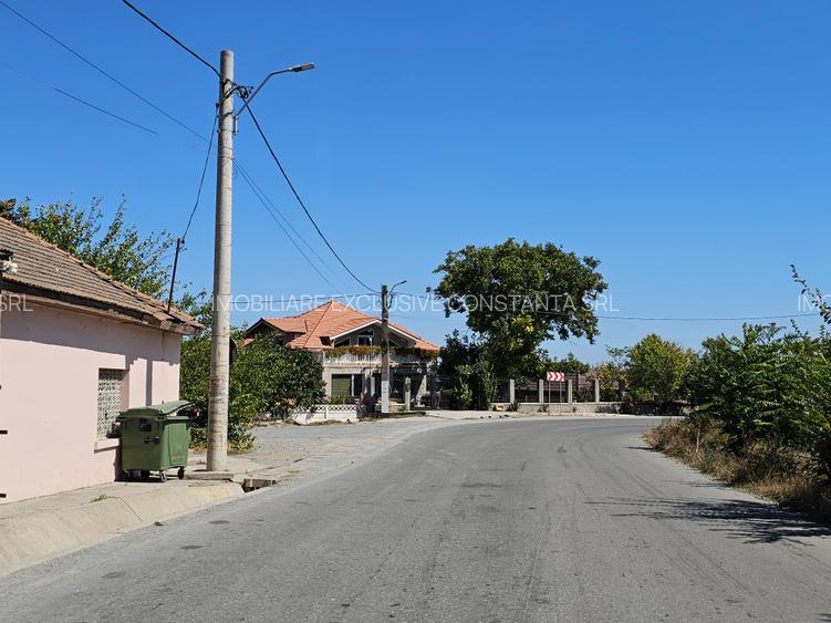 Teren Extravilan 10000 Mp Sibioara Constanta - 10