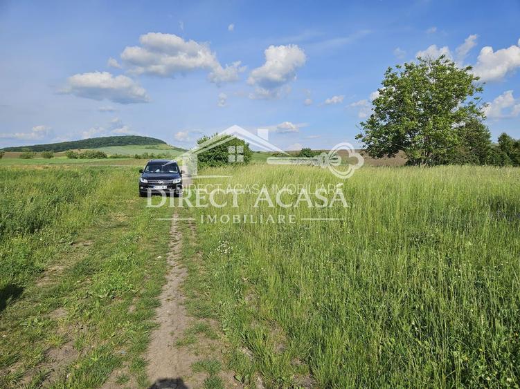 Teren intravilan 3000 mp Ernei – panorama superba, utilitati in zona - 6
