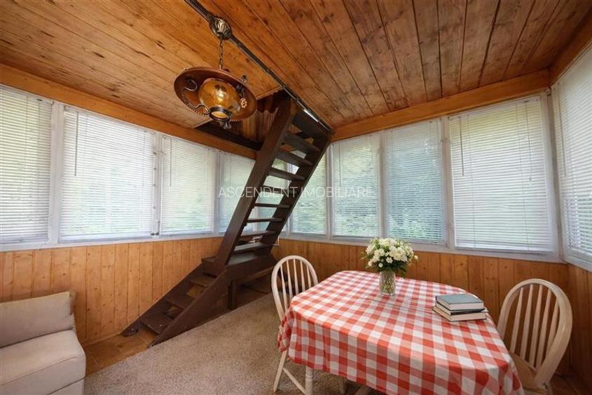 Tur 3D&FILM! Refugiu de vacanta, in pitorescul cadru: Lunca Bradului - 8