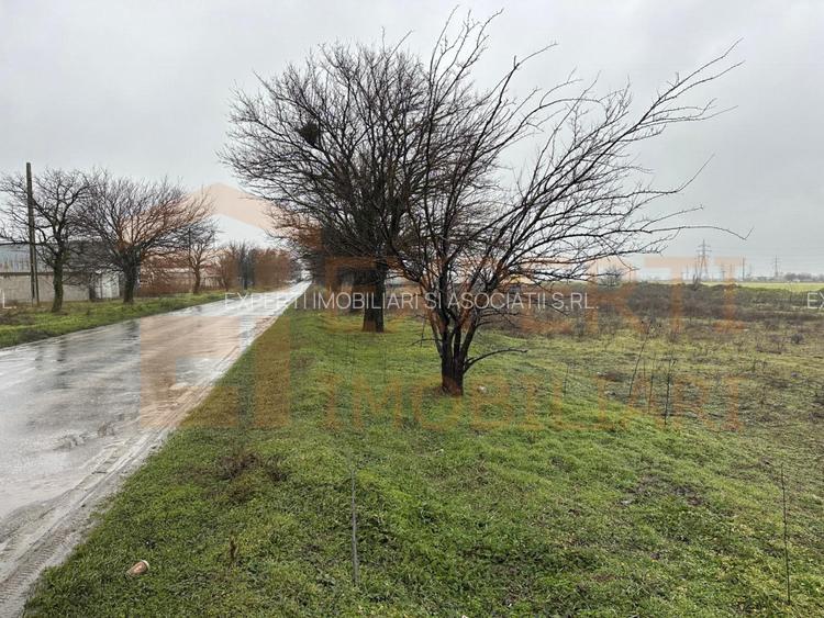 Teren extravilan 21.200 mp, zona Lumina - 8