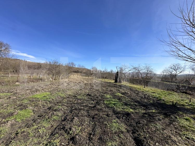 Casa la tara, 4000 mp teren, utilitati, acces A10, sat Dumbrava - 6