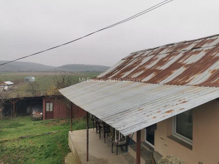De vanzare casa in Argetoaia cu teren 7.000 mp - 2