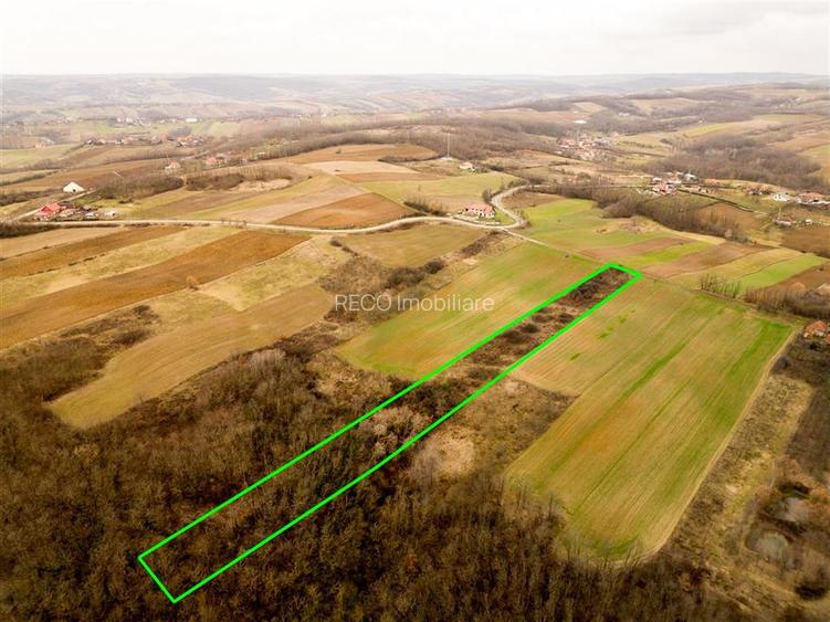 RECO Teren intravilan in Ceica Bihor - 4