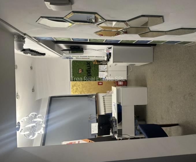 Vila 7 Camere I De Inchiriat I Victoriei  - 8