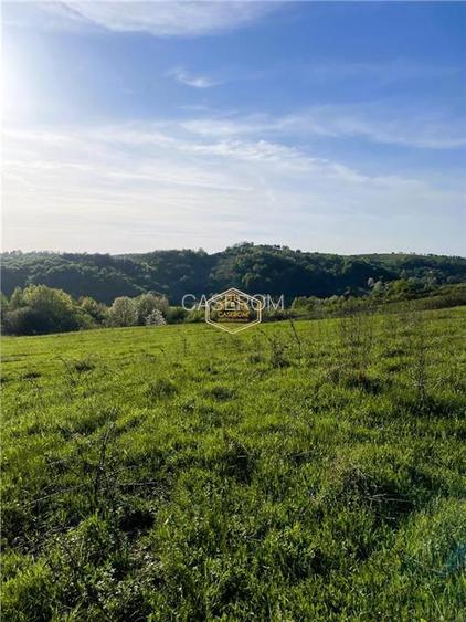 Teren de 9.500 mp in Maramures | Varf de deal, priveliste de pus in rama | Retre - 11