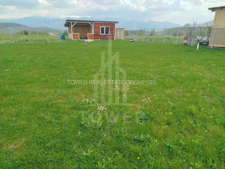Grădină 862 mp cu cabanuta și pomi fructiferi – între Tălmaciu și Sadu - 11