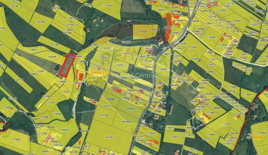 Teren Tohanul Nou 4500mp, in spate Wolf - 15