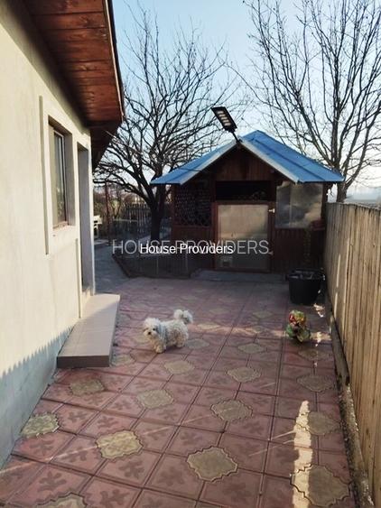 Vanzari Case Puchenii Mosneni - 7