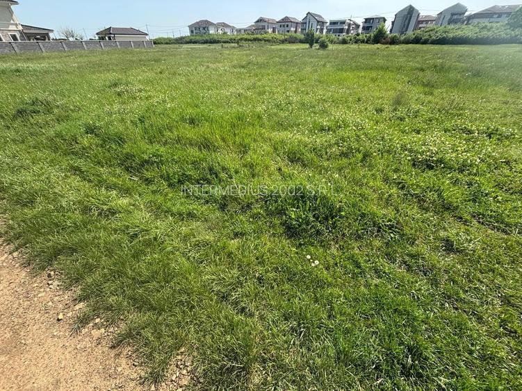 Teren 1239 mp front 29 in Aradul nou - 10