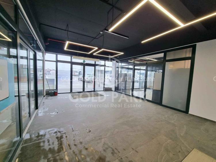 Spatiu Comercial in Centru Comercial - Zona Traian Vuia - Parcare - 12
