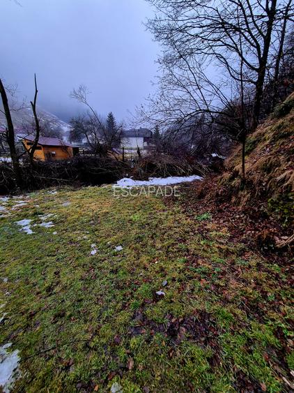 Teren intravilan Simon/Bran, 4318 mp , casuta intabulata, utilitati - 35