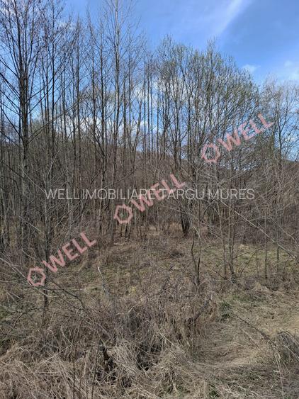 🏡 Teren de vânzare în Sovata – Strada Stâna de Vale - 2