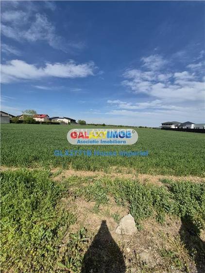 Teren Intravilan Dragomiresti Vale - 2