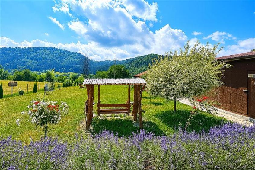 Refugiu pretios:jacuzzi, lemn masiv,2.000 mp teren,4 dormitoare, cuptor, investi - 3