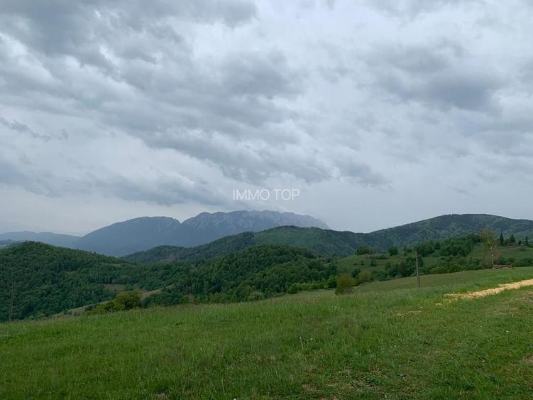 Teren extravilan 2ha, priveliste panoramica spre munti /Poiana Marului - 3