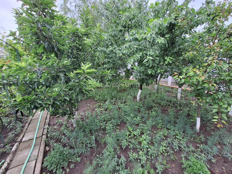 Casa cu 5 camere la 500 metri de LIDL piata centru - 7