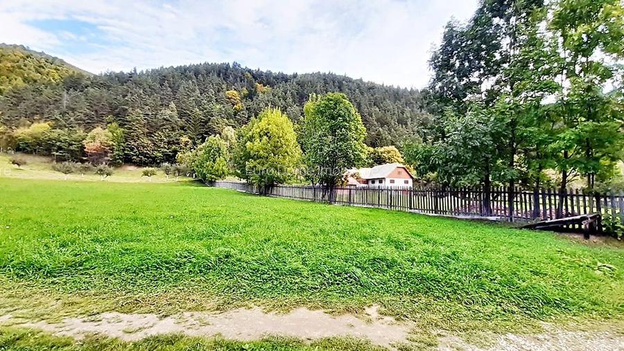 Teren superb de 16240mp, parcelabil, in Bran la intrare in Moeciu de Jos - 8