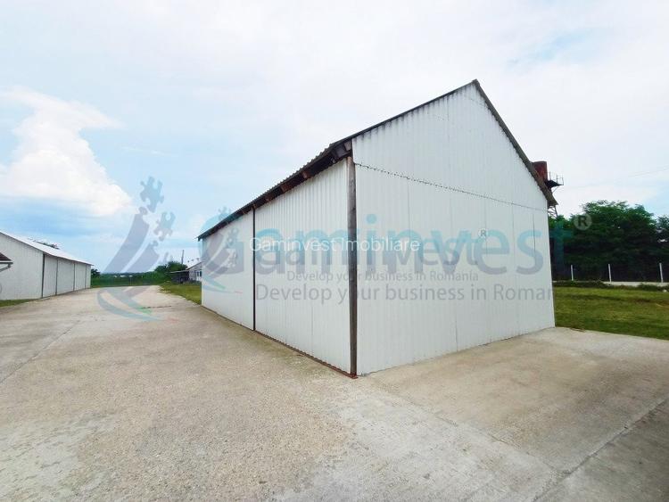 Hala de vanzare cu exclusivitate, la 24 km de Oradea, in Salard, Bihor - 9