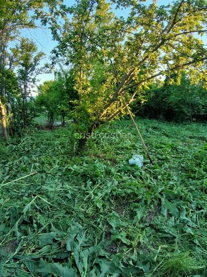 De vânzare casă cu teren aproape de București în comuna Vărăști.  - 16
