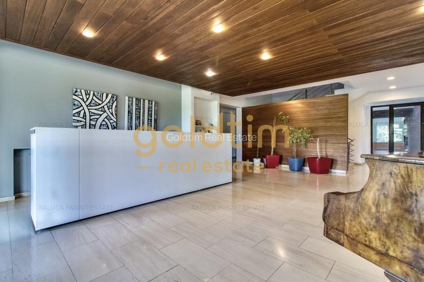 NOU/STUDIO LOFT/PRIVELISTE SUPERBA/SPATIU GENEROS - 16