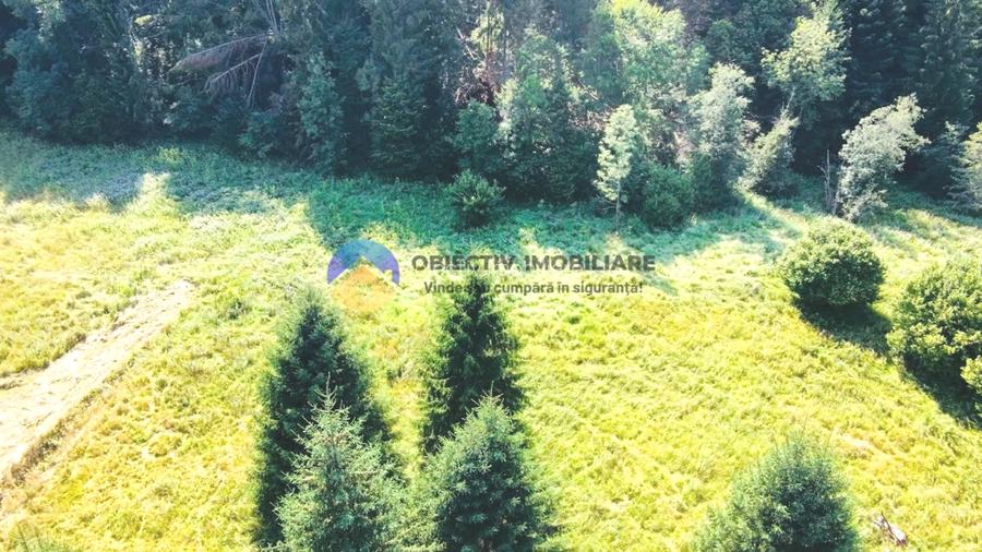 Teren TARCǍU - SCHITU,judetul NEAMȚ - 5