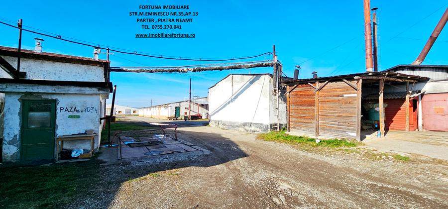 Complex imobiliar format din cladiri si constructii industriale+teren intravilan - 11