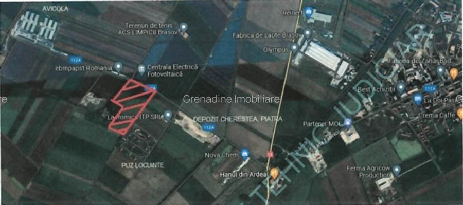 Teren 50000mp Extravilan-Intrare Halchiu-Cod 5235 - 8