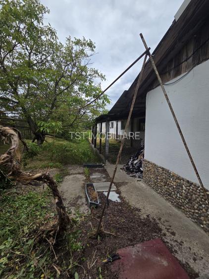 Teren cu hale de vanzare sau inchiriere ideal  investitie - Medies - 2