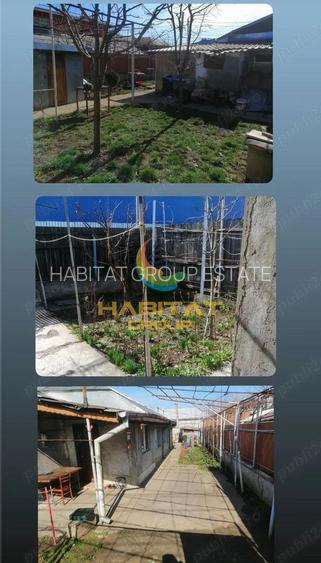 Casa 2 Camere Parter Teren 350 mp Berceni Luica - 9