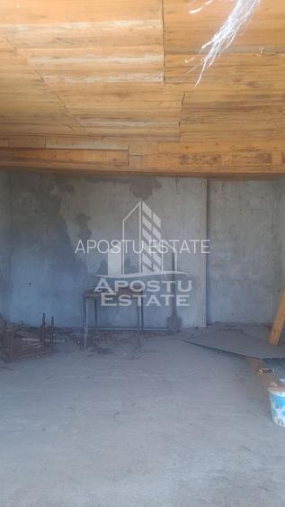 Casa individuala in Cruceni ,la granita cu Serbia - 7