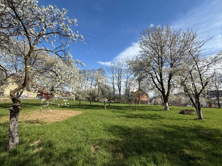 Teren intravilan 763 mp in zona Bran-Tohanita,judetul Brasov - 4