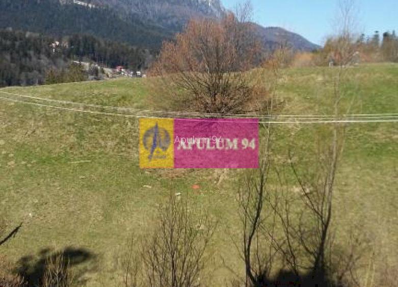 Teren de vânzare în Bușteni - Zona Zamora - 22