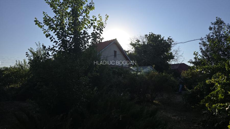 Casă individuală P+E + 2 anexe, teren 3.052 mp – Dârvări, jud. Călărași - 5