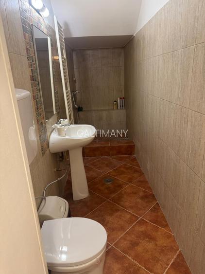 Vila P+1 Sector 1 Herastrau, Domenii, curte proprie, locuinta/birou/comercial - 4