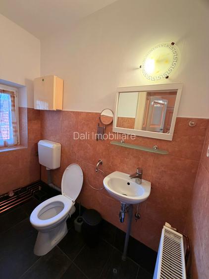 Apartament 3 camere de inchriat-Str. Victor Babes - 8