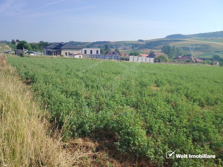 TEREN PENTRU DEZVOLTARE IMOBILIARA - 7.092 MP - CORUSU, BACIU