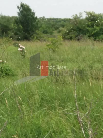 Teren Buftea cu iesire la lac - 29