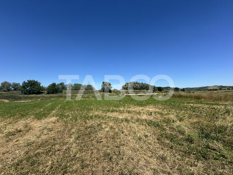 Comision 0% Teren intravilan 2000 mp cu utilitati zona Oltului Fagaras - 5