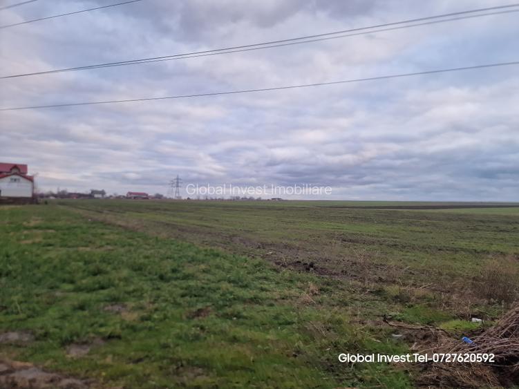 Corbu- Teren 2500mp la intrare in localitate pe dreapta - 14