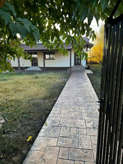 Casă parter, 3 dormitoare, teren 450 mp, Darza – Crevedia - 4