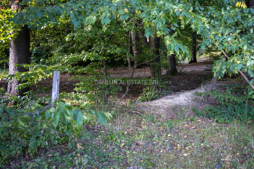 Teren intravilan 3300mp- Vulcan Brasov langa Lac si padure - zona turistica - 15