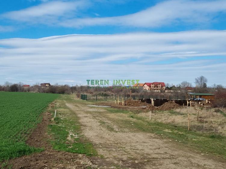 Teren 10.000 mp de vânzare – Balotești – PUZ locuințe - 10
