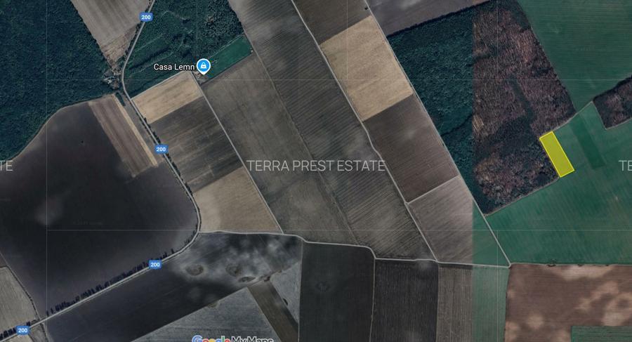 Teren excelent pozitionat cu doua laturi padure - 2
