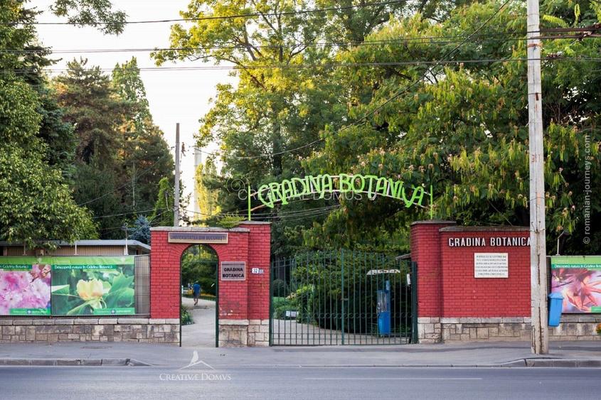 Cotroceni - Gradina Botanica / Spatiu de birouri, 102 mp - 16