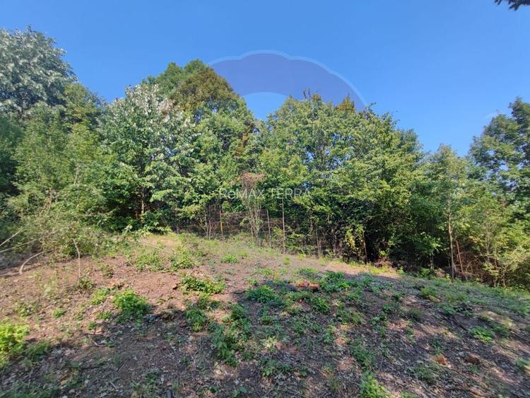 Teren intravilan 756mp si cota parte de drum Baia Mare / Str. Viilor - 2