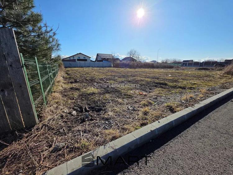 Teren Intravilan Sanpetru - 6