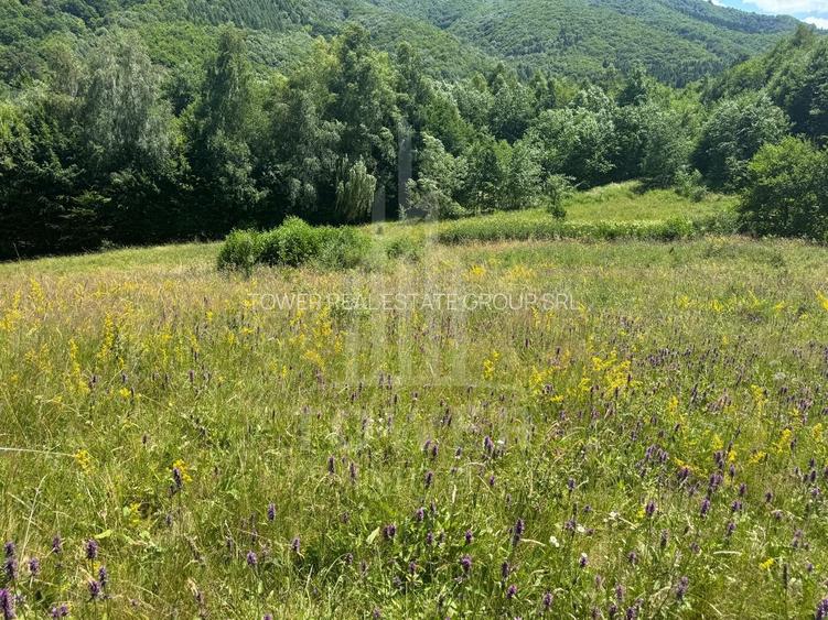 Teren intravilan 4600mp - 55 EUR/mp - EXCLUSIVITATE CISNADIOARA - COMISION 0% - 10