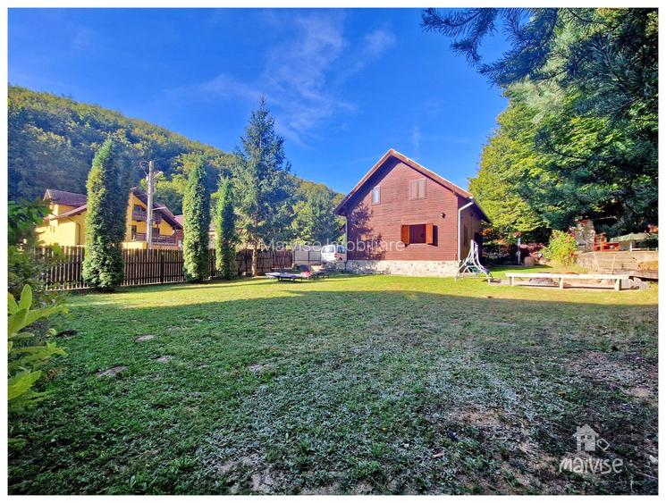 Casa de vacanta!!! Valea Bozom- Apata - 30