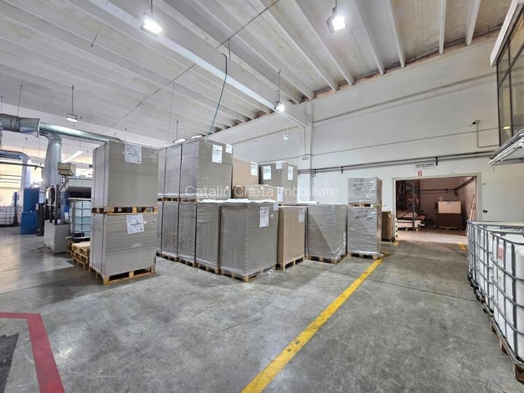 Hale Industriale 5065 mp de vanzare Str. Bradului - Bacau - 4