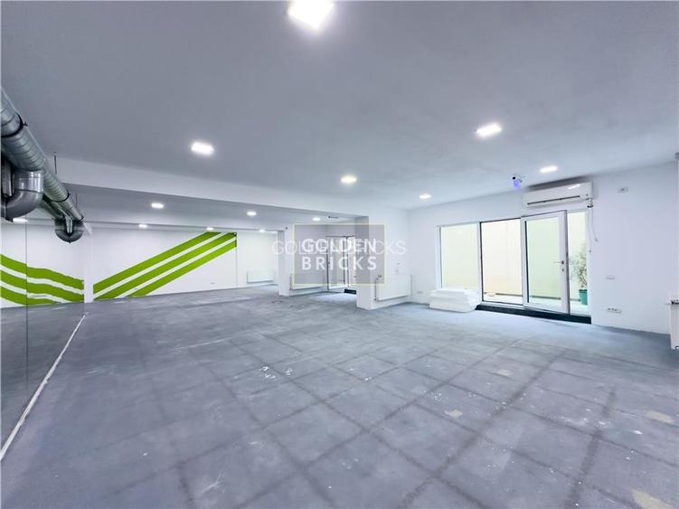 Banu Manta | Piata Victoriei | 230mp | open space - 4